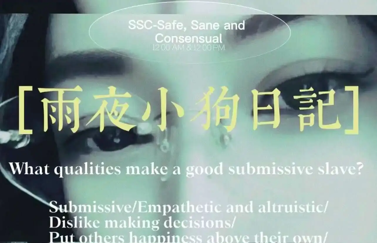 brat属性 - 微信图片_20240708154450
