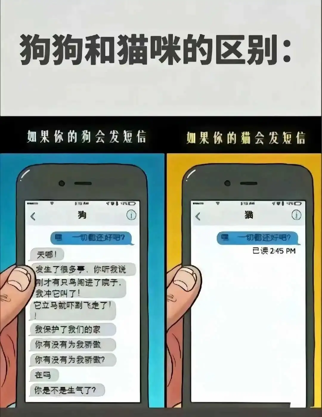 西檬之家-字母圈的aftercare是什么意思？