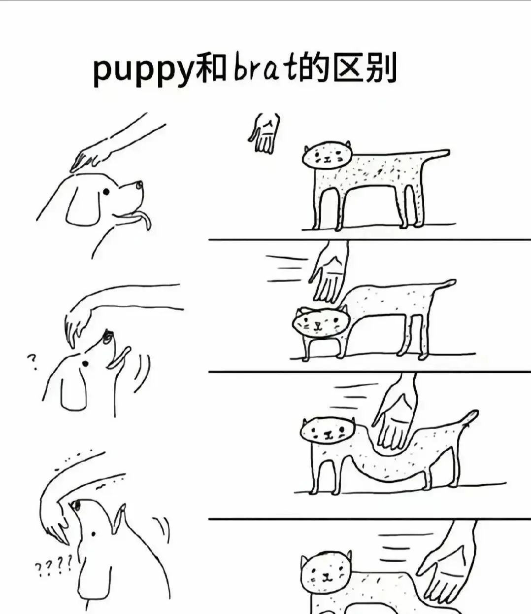 [西檬之家]-小圈指南：BDSM新人权威解析