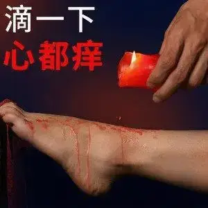 S倾向 - 2025-11-13 232552