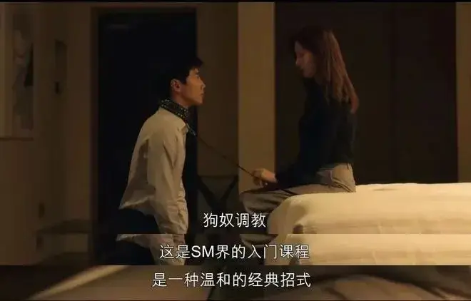 西檬之家-BDSM实践指南：从新手到进阶的路径