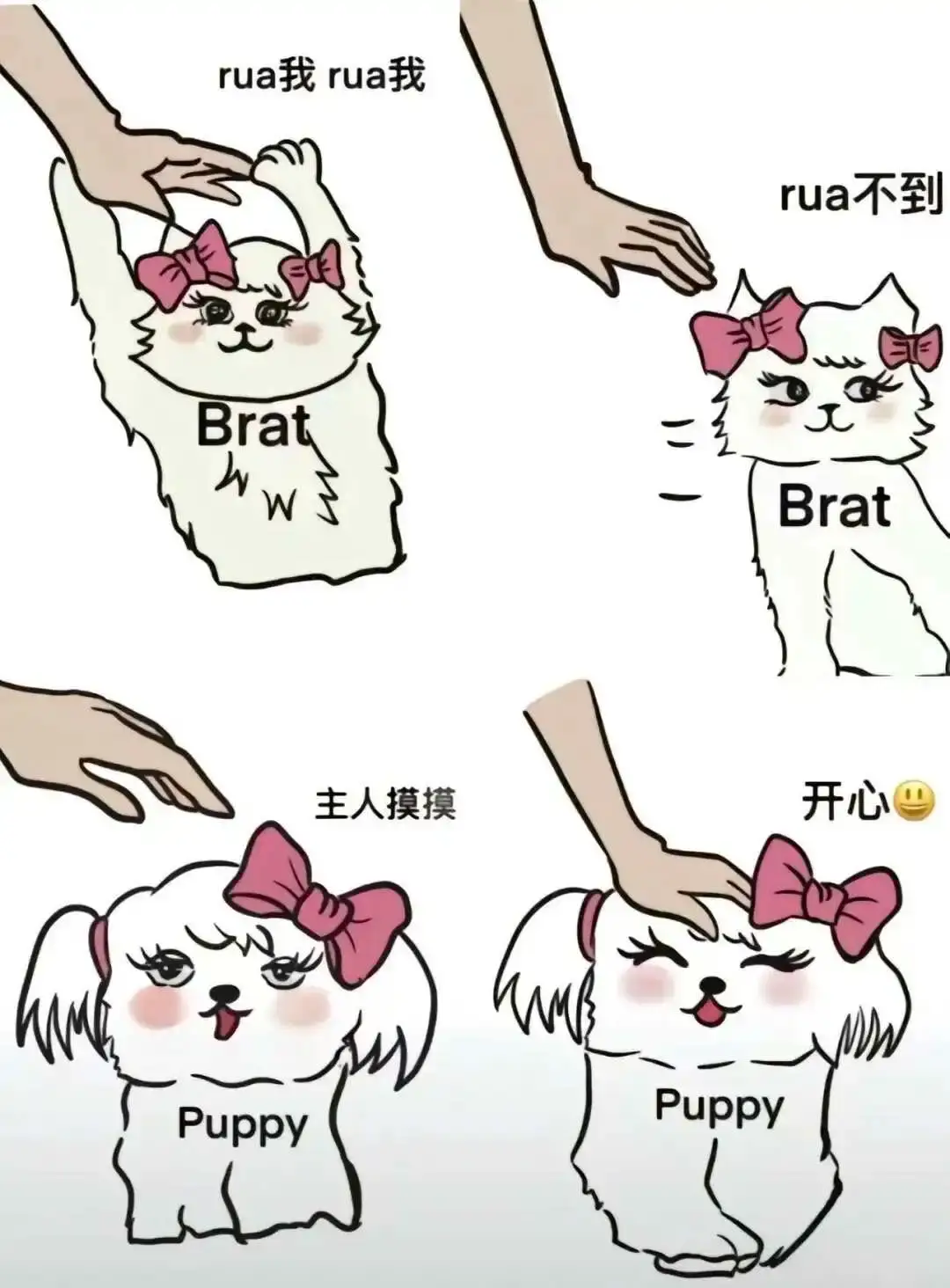 西檬之语-圣水是什么意思？字母圈新人入圈指南