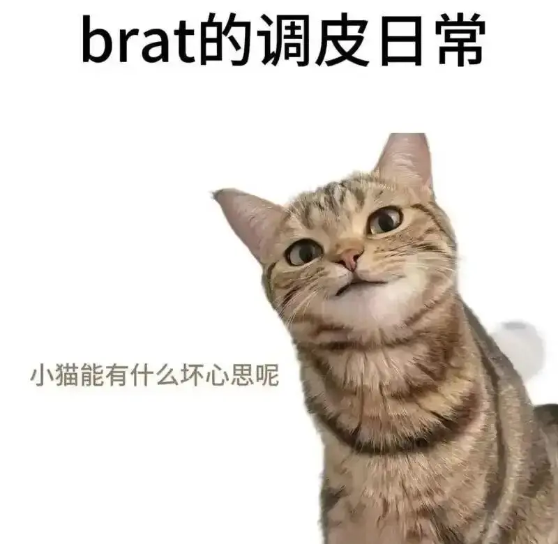 践踏癖 - 微信图片_20251203212836_109_19