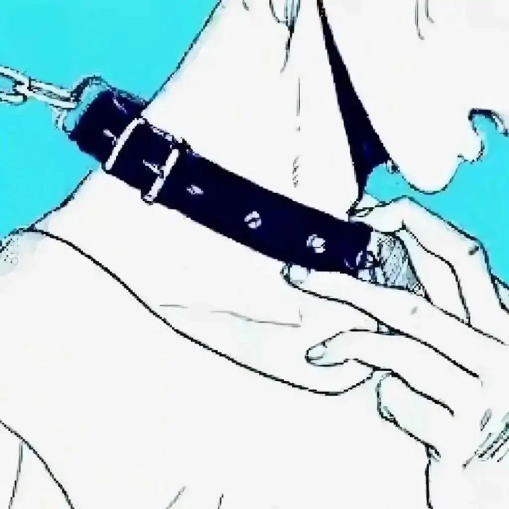 西檬之家-字母圈的BDSM基础知识与安全实践