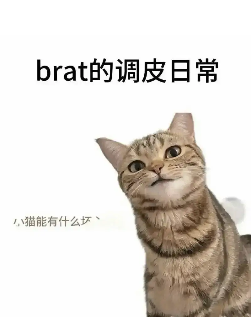 字母圈 - 2025-11-13 192048